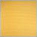 Apricot Texture
