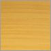 Apricot Texture