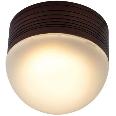 MicroMoon Ceiling/Wall by Access Lighting