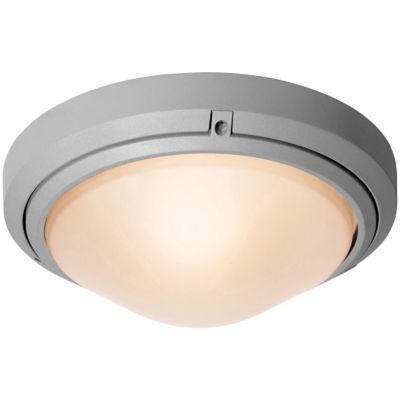 Oceanus Ceiling/Wall Light by Access Lighting