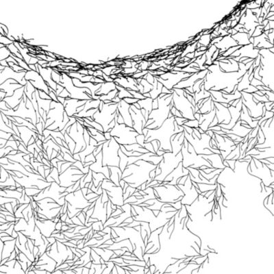 Algue by Ronan & Erwan Bouroullec for Vitra