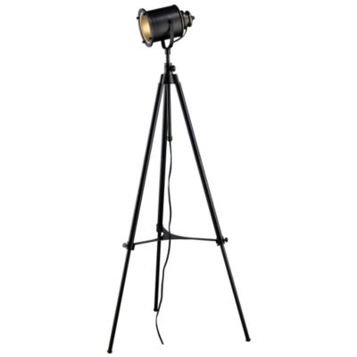 Ethan Adjustable Tripod Floor Lamp by Dimond