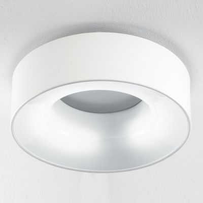 Cyclos Ceiling/Wall Light by Zaneen