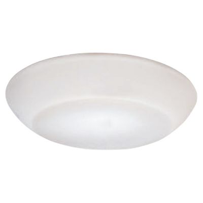 Delphinia Ceiling/Wall Light by Zaneen