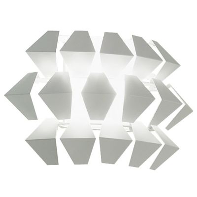 Agave Wall Sconce by Zaneen