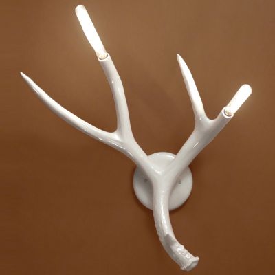 Superordinate Antler Sconce by Roll & Hill