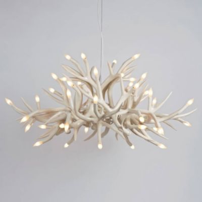 Superordinate Antler Chandelier - 24 Antlers by Roll & Hill