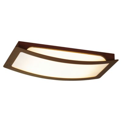 Zelkova Rectangular Flushmount by Eurofase