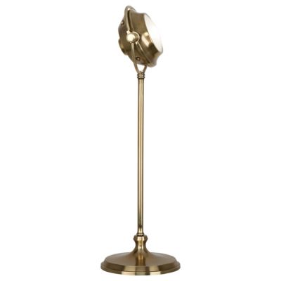 Iris Table Lamp by Robert Abbey