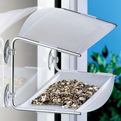 Piep Show Bird Feeder by Radius