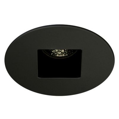 R3651W Wall Washer, Adjustable, Round/Square Trim by Contrast Lighting