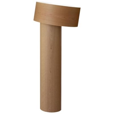 Tilt Floor Lamp by LZF