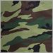 Camouflage