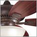 Tannery Bronze and Teak with Umber Etched
