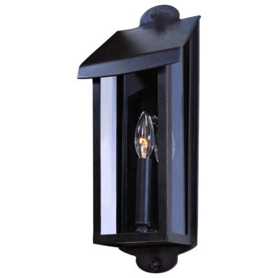 Alpine Outdoor Tall Wall Sconce by Troy Lighting
