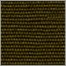 Umbra Green Canvas