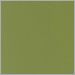 Camouflage Green