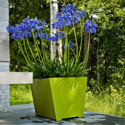 Taper Planter by Loll Designs