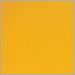 Daffodil Yellow