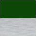 Green with Polished Aluminum