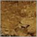 Gold Leaf