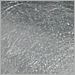 Silver Leaf