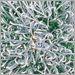 Aluminum and Green