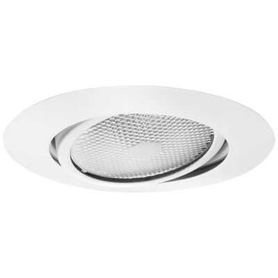 Gimbal Ring with Flat Trim by Juno Lighting