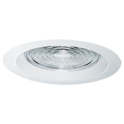 Fresnel Trim by Juno Lighting