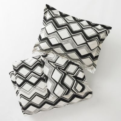 Painted Chevron Duvet Set by DwellStudio