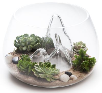 Glasscape Fishbowl by Aruliden