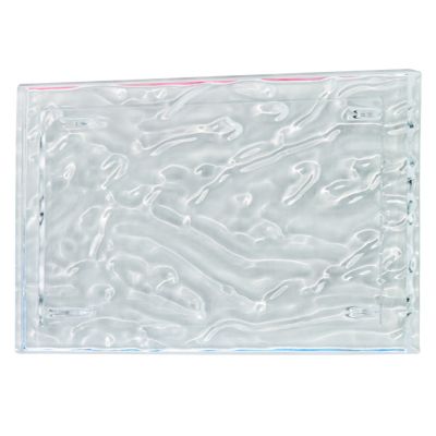 Dune Tray by Kartell (Crystal/Large) - OPEN BOX RETURN