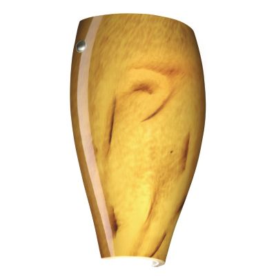 Chelsea Wall Sconce by Besa Lighting (Halva) - OPEN BOX RETURN