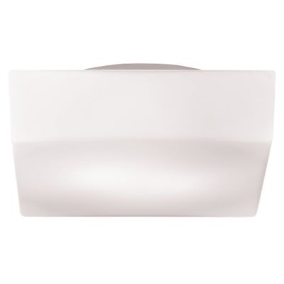 Amata Flushmount by Eurofase