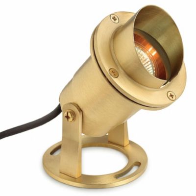 Brass Submersible Pond Light by Hinkley Lighting