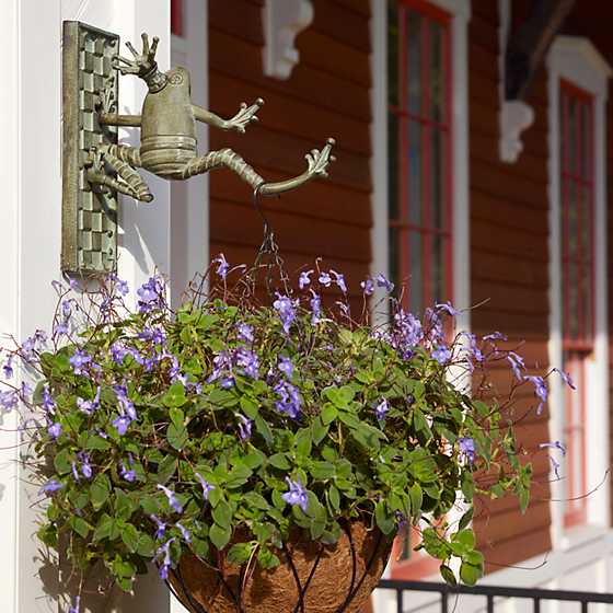 Frog Plant Hanger image two