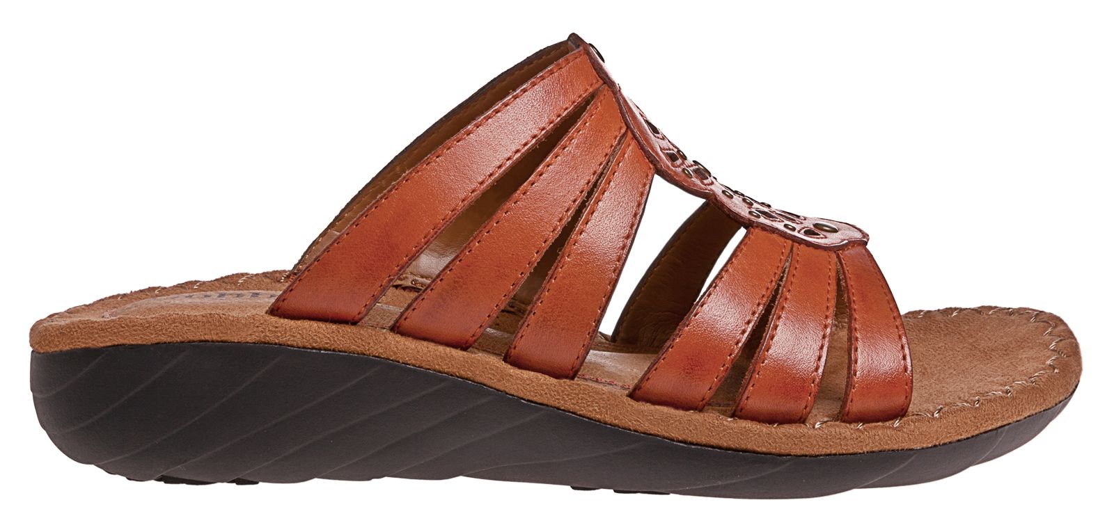Cobb Hill Gianna, Spice