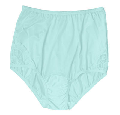 Aqua Lace Inset Nylon Brief