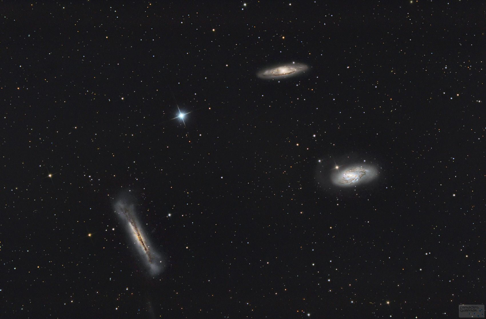 Leo Triplet