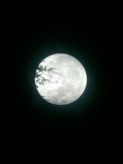 Pre-Super Moon