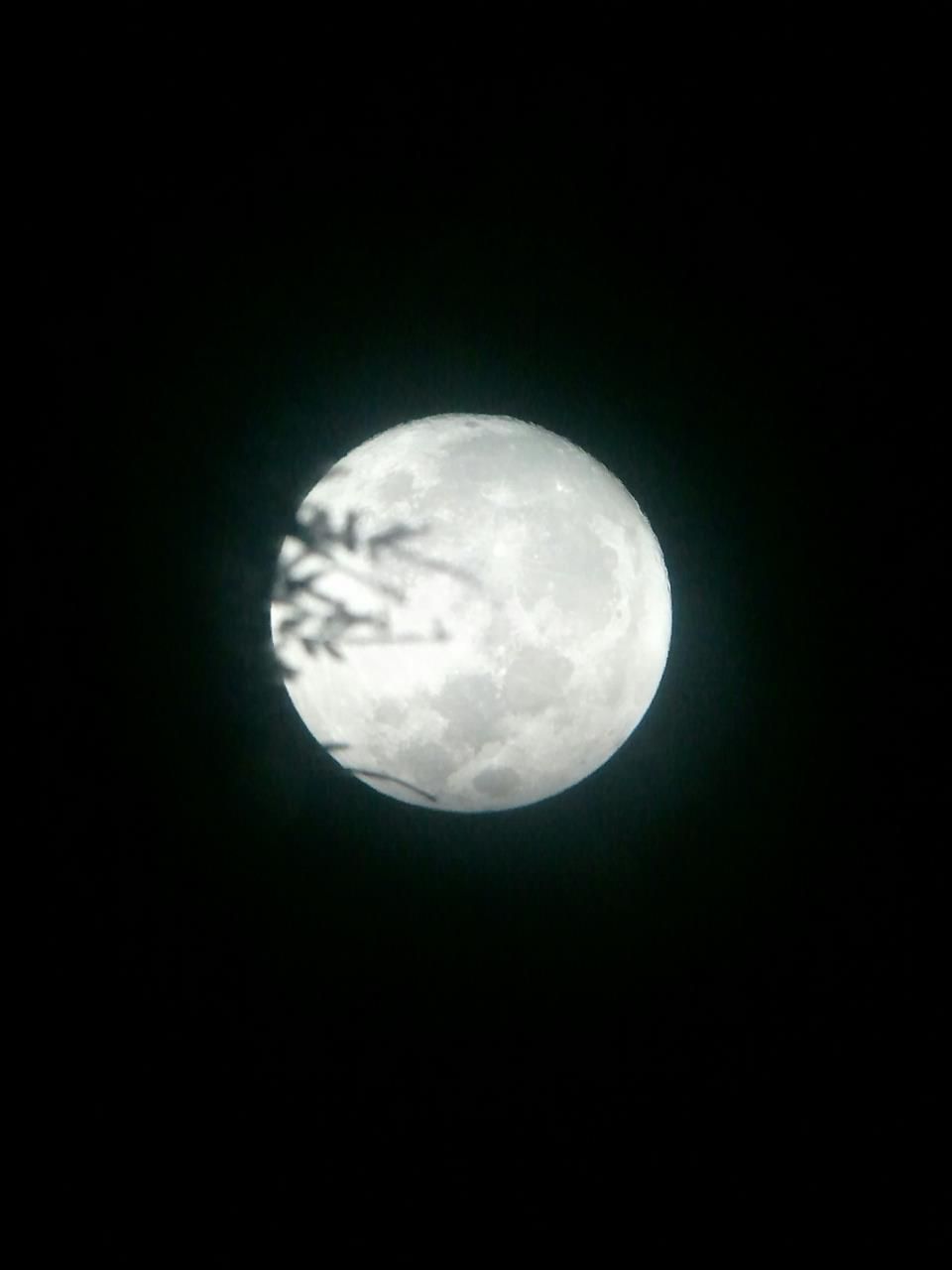 Pre-Super Moon