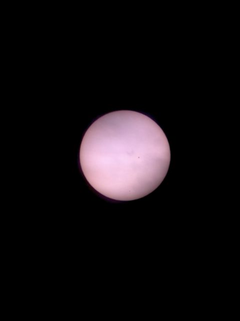 Sun