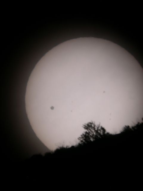 Venus Transit Behind Trees