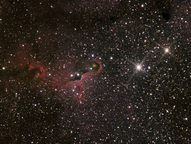 Elephant Trunk Nebula