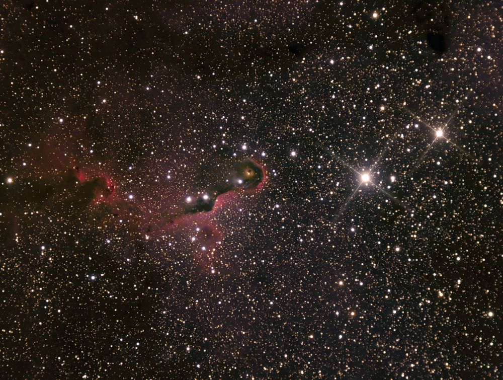 Elephant Trunk Nebula