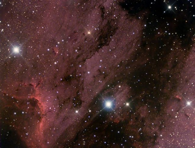 The Pelican Nebula
