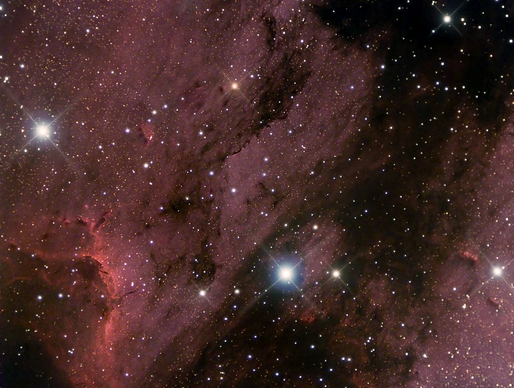 The Pelican Nebula