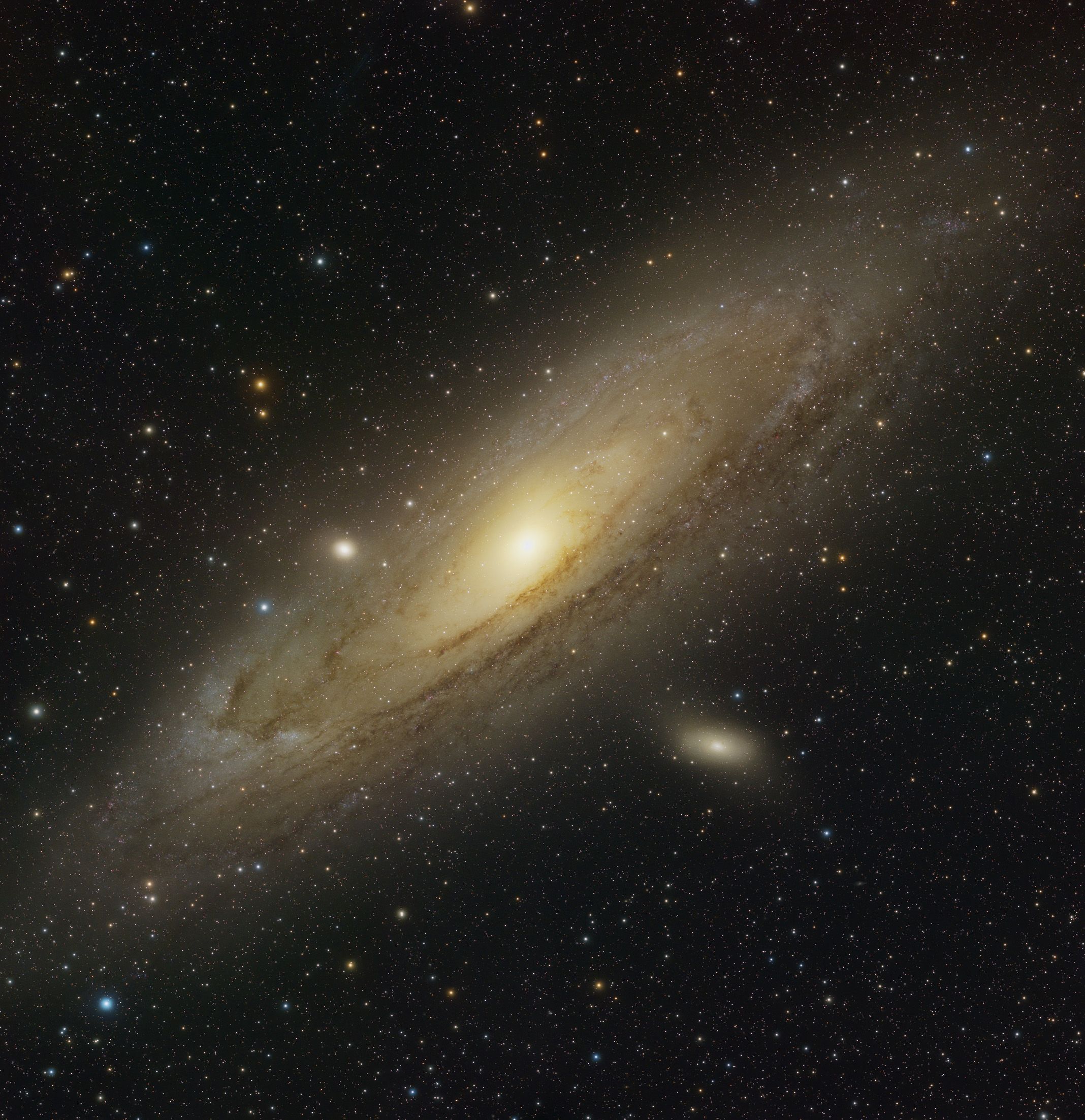 M31