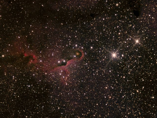 Elephant Trunk Nebula