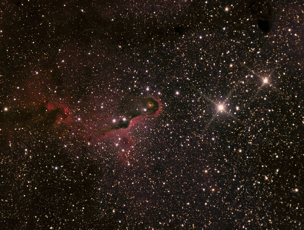 Elephant Trunk Nebula